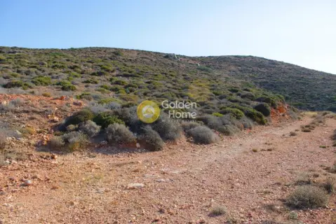 Επαγγελ. Οικόπεδο 107903τ.μ. προς πώληση φωτογραφία 14