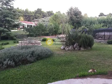 Μονοκατοικία 186τ.μ. προς πώληση φωτογραφία 6