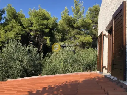 Μονοκατοικία 186τ.μ. προς πώληση φωτογραφία 39