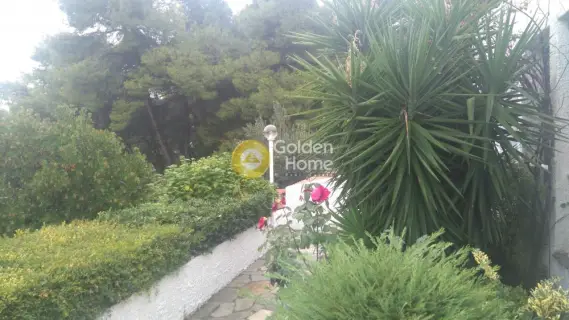 Μονοκατοικία 186τ.μ. προς πώληση φωτογραφία 47