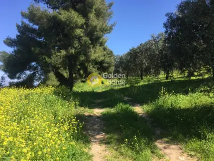 Μονοκατοικία 186τ.μ. προς πώληση φωτογραφία 56