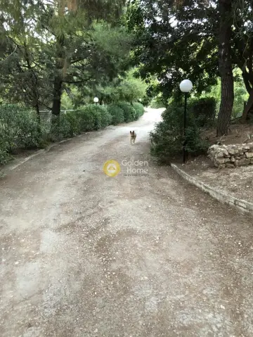 Μονοκατοικία 186τ.μ. προς πώληση φωτογραφία 57