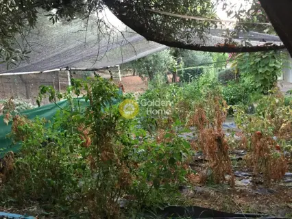 Μονοκατοικία 186τ.μ. προς πώληση φωτογραφία 59