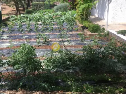 Μονοκατοικία 186τ.μ. προς πώληση φωτογραφία 62