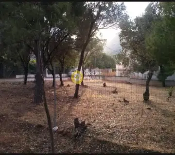Οικιστικό 255τ.μ. προς πώληση φωτογραφία 3294266