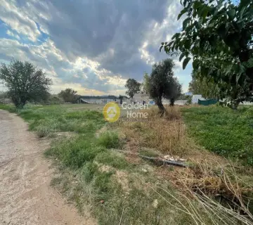 Professional Plot 1301m<sup>2</sup> for sale photo 3301768
