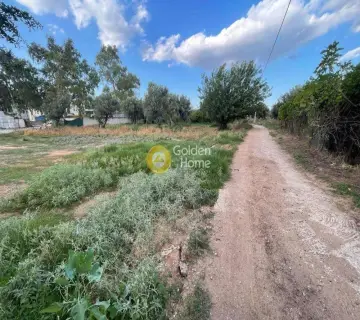 Professional Plot 1301m<sup>2</sup> for sale photo 3301768