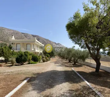 Residence complex 345m<sup>2</sup> for sale photo 6