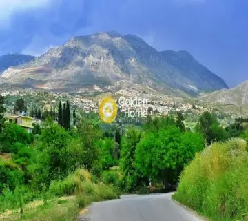 Golden Home Property Image