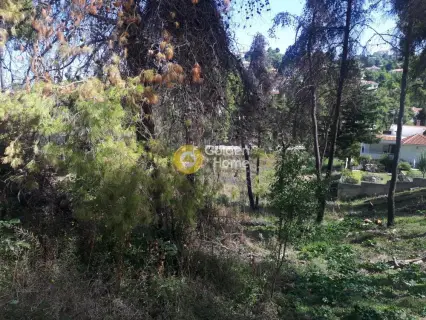 Residential 800m<sup>2</sup> for sale photo 4