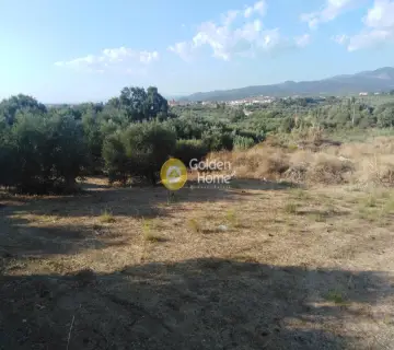 Professional Plot 9523m<sup>2</sup> for sale photo 3