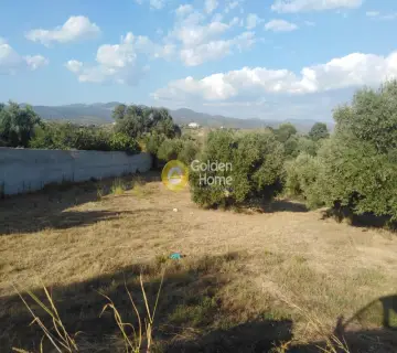 Professional Plot 9523m<sup>2</sup> for sale photo 13
