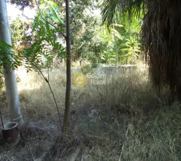 Μονοκατοικία 347τ.μ. προς πώληση φωτογραφία 3