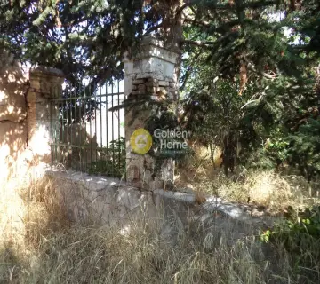 Μονοκατοικία 347τ.μ. προς πώληση φωτογραφία 6