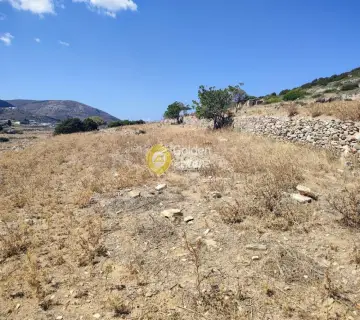 土地 8500m<sup>2</sup> for sale photo 3296465
