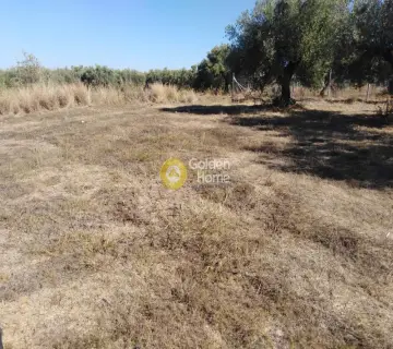 Parcel 2700m<sup>2</sup> for sale photo 3300789