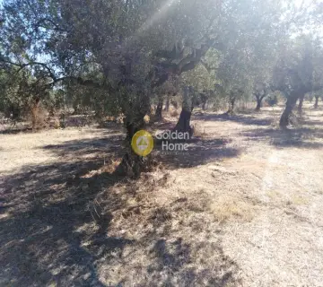 Parcel 2700m<sup>2</sup> for sale photo 3300792