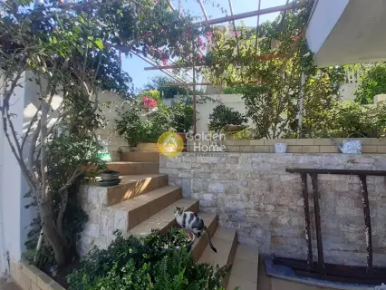 Building 207m<sup>2</sup> for sale photo 6