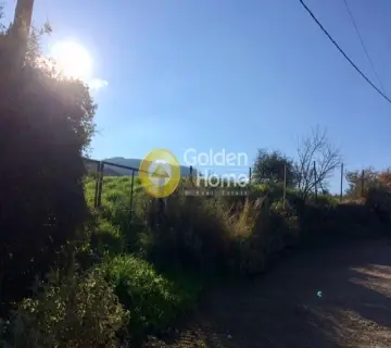 Residential 2150m<sup>2</sup> for sale photo 3456943