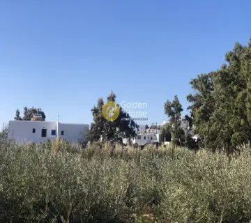 Golden Home Property Image