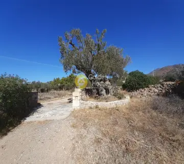 Residential 8000m<sup>2</sup> for sale photo 3356482