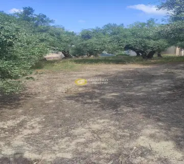Residential 846m<sup>2</sup> for sale photo 3308297