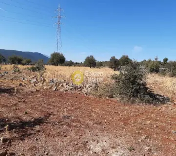 Parcel 100000m<sup>2</sup> for sale photo 3303252