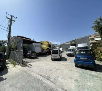 Golden Home Property Image