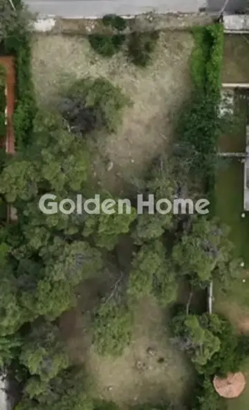 住宅 1560m<sup>2</sup> for sale photo 5407218