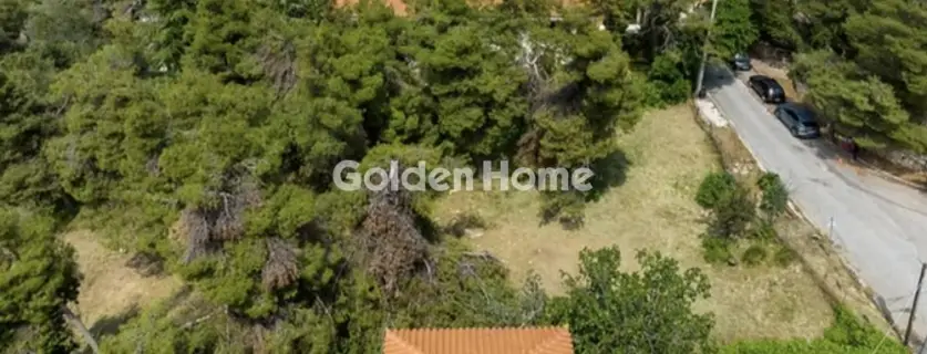 住宅 1560m<sup>2</sup> for sale photo 5407216