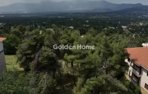 住宅 1560m<sup>2</sup> for sale photo 5407217