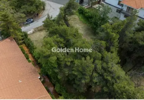 住宅 1560m<sup>2</sup> for sale photo 5407219