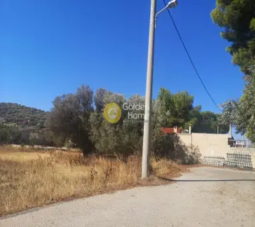 Parcel 1288m<sup>2</sup> for sale photo 9