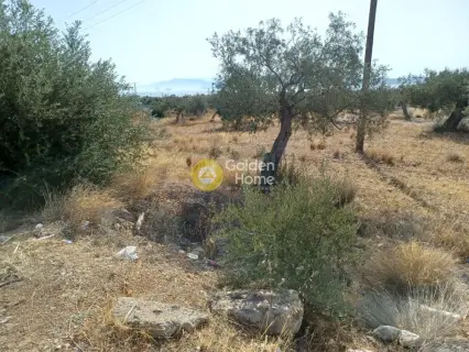 Residential 2000m<sup>2</sup> for sale photo 3