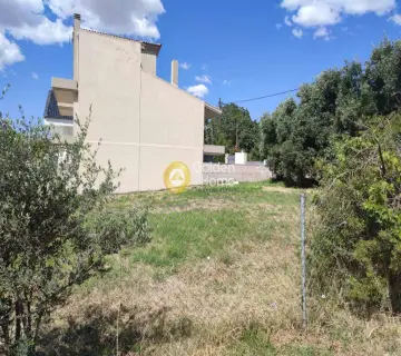Residential 310m<sup>2</sup> for sale photo 4210727