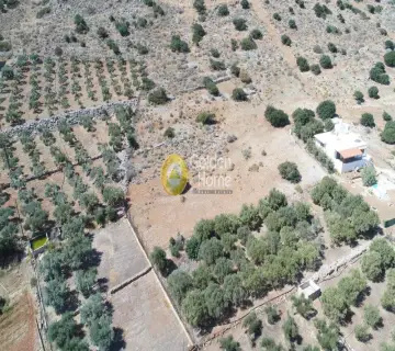 Residential 6326m<sup>2</sup> for sale photo 7