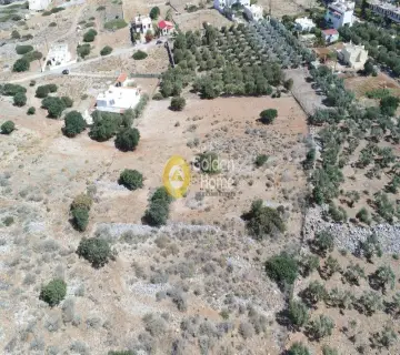 Residential 6326m<sup>2</sup> for sale photo 9