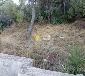 Residential 500m<sup>2</sup> for sale photo 4