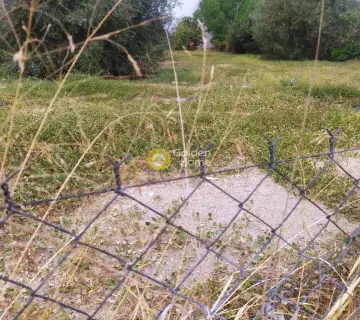 Οικιστικό 1070τ.μ. προς πώληση φωτογραφία 13