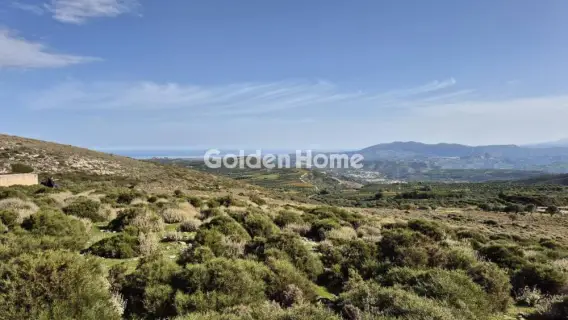 Αγροτεμάχιο 50000τ.μ. προς πώληση φωτογραφία 6