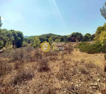 Area 42976m<sup>2</sup> for sale photo 3337576