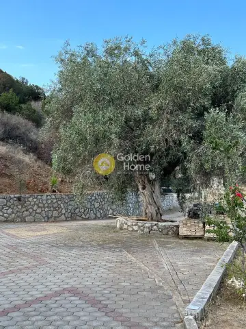 House 160m<sup>2</sup> for sale photo 7