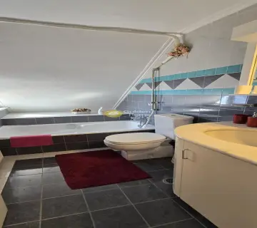 独立复式小屋 265m<sup>2</sup> for sale photo 48