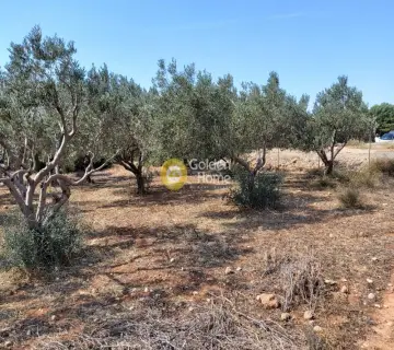 Επαγγελ. Οικόπεδο 4250τ.μ. προς πώληση φωτογραφία 3341465