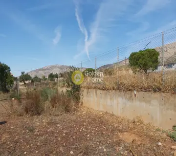 Επαγγελ. Οικόπεδο 4250τ.μ. προς πώληση φωτογραφία 3341467
