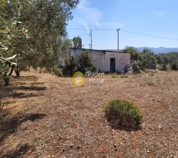 Επαγγελ. Οικόπεδο 4250τ.μ. προς πώληση φωτογραφία 3341468