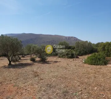 Επαγγελ. Οικόπεδο 4250τ.μ. προς πώληση φωτογραφία 3341468