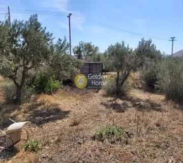 Επαγγελ. Οικόπεδο 4250τ.μ. προς πώληση φωτογραφία 3341469