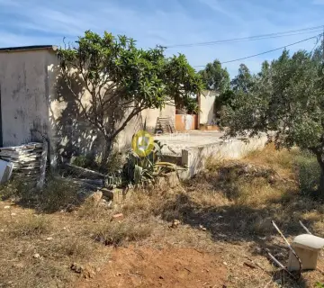 Επαγγελ. Οικόπεδο 4250τ.μ. προς πώληση φωτογραφία 3341470