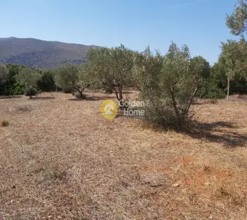 Επαγγελ. Οικόπεδο 4250τ.μ. προς πώληση φωτογραφία 3341471